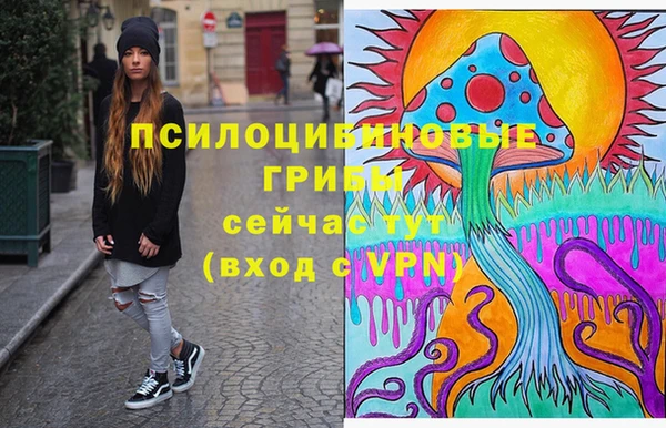 бошки Алзамай