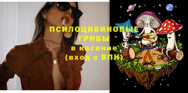 бошки Алзамай
